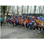 Schweinfurt, am 20.02.2011: Unterfr�nkische Meisterschaften im Crosslauf