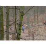 Schweinfurt, am 20.02.2011: Unterfr�nkische Meisterschaften im Crosslauf