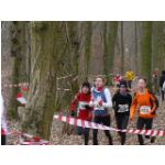 Schweinfurt, am 20.02.2011: Unterfr�nkische Meisterschaften im Crosslauf