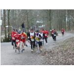 Schweinfurt, am 20.02.2011: Unterfr�nkische Meisterschaften im Crosslauf