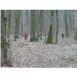 Schweinfurt, am 20.02.2011: Unterfr�nkische Meisterschaften im Crosslauf