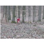 Schweinfurt, am 20.02.2011: Unterfr�nkische Meisterschaften im Crosslauf